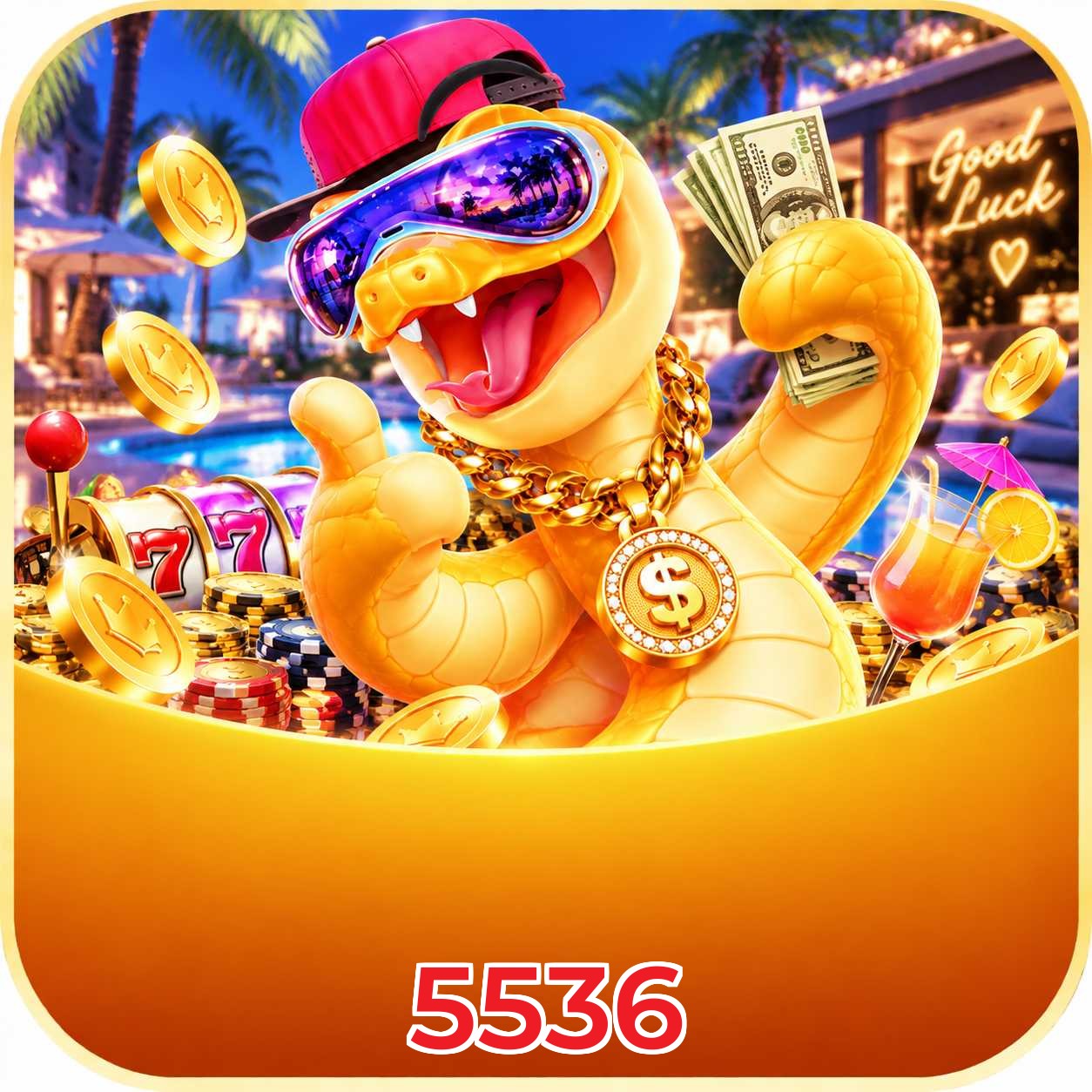 5536 Compatibilidade